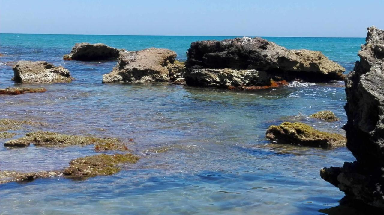 Casa de vacances Mas Halcon